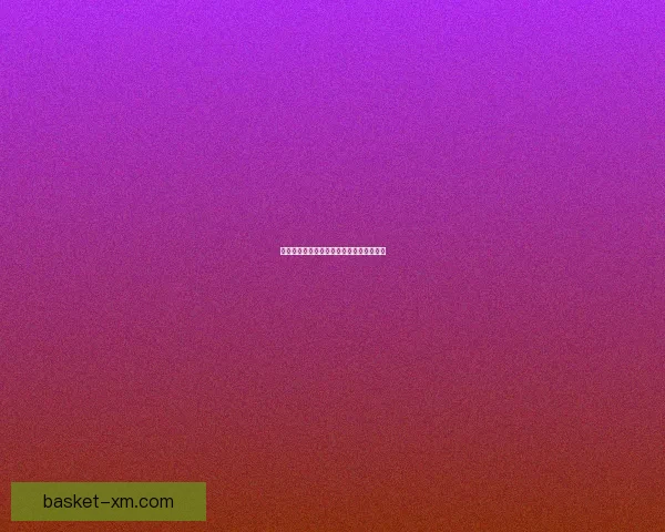 熊猫体育功能全面体验感受与使用效果详解