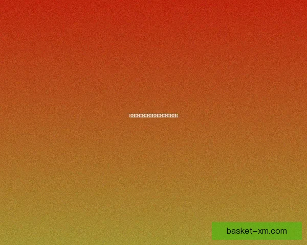 熊猫体育功能全面体验感受与使用效果详解