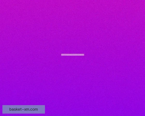 熊猫体育功能全面体验感受与使用效果详解