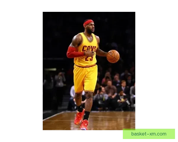 熊猫体育功能全面体验感受与使用效果详解